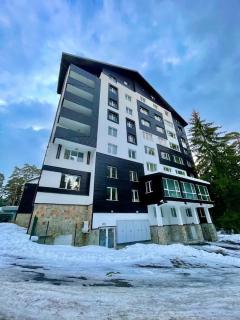 Sunlit Forest Suite - Borovets - 8