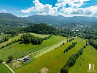 Green Wood Prestige House - 9