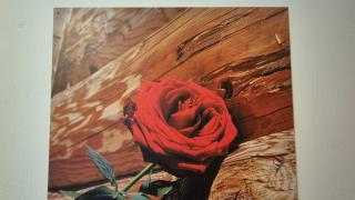 Appartement Bergblick - 2