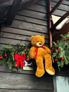 Cabana LoSt Ventoc - 6