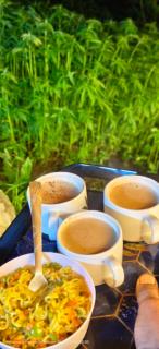 Metanoianest cottage Malana - 2