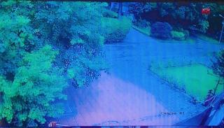 Overseas Guest House - 5