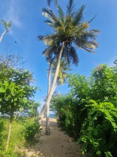 Raja Beach Place - 5