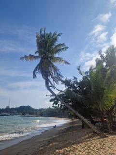 Raja Beach Place - 4