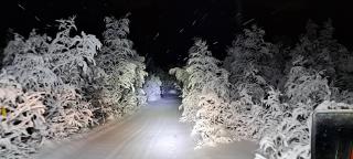 Hotel Glamping Gällivare - Laponia Sky Hut - Norrbotten - Lappland - Northern Lights - 6