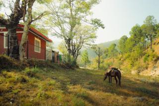 Whispering Water Camp - 4