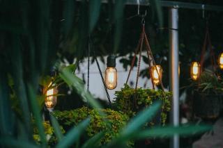 Harmonic Hideout - 3