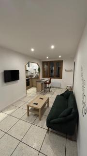 Bel appartement rénové en cœur de ville - 4