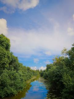 Villa Mangrove Unawatuna - 9