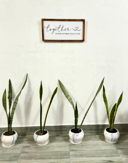 Monratino The First Floor - 9