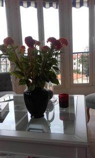 Magnifique 3 Pieces Liberation - Nice - 3