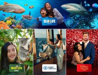 1BR Waterfront Apartment in Barangaroo with Free Private Parking - Sydney - 4