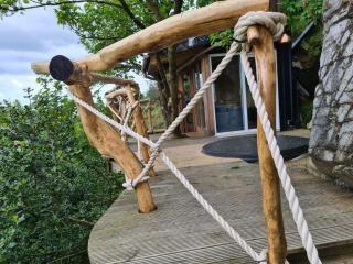 Balance Treehouse - 6