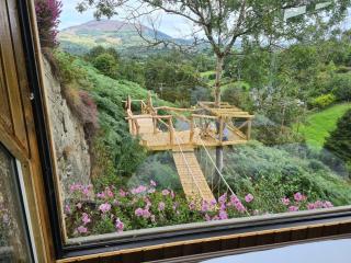 Balance Treehouse - 3