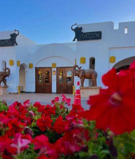 Domina Coral Bay Suite Harem Sharm El Sheikh - 0