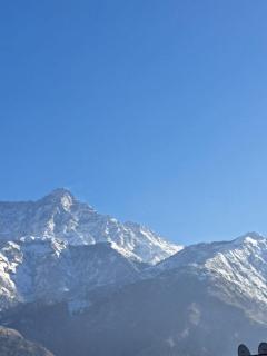 The Ripple Paradise - 5