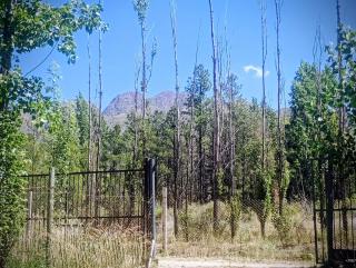 Container House - Cacheuta - 7