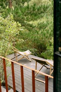 Serene Cabin in a Private Forest - 3