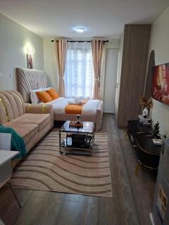 Modern Studio Near UN Gigiri and Two Rivers Mall - 5