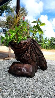 The Nook Housestay - 2