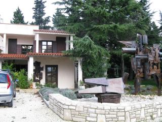 Art Vila Opacic - 9