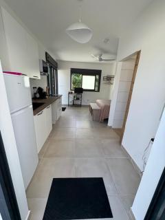 Clapotis et Rossignol - 2