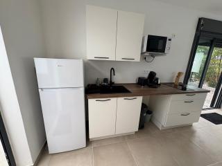 Clapotis et Rossignol - 1