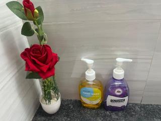 Peaceful Place to stay with high rise view - 4