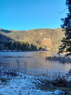 Apartment Rango - Bad Mitterndorf - 7