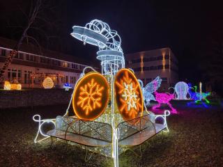 Malinowski Leśny - 9