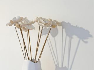 L'Ecrin - Spacieux & Garage Privé - Calme à 5minutes de Rennes - 3