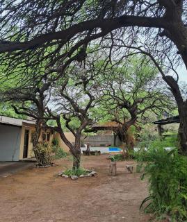 Cabañas los algarrobos - 3