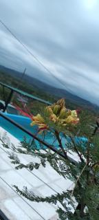 Cabañas El Molle - 1