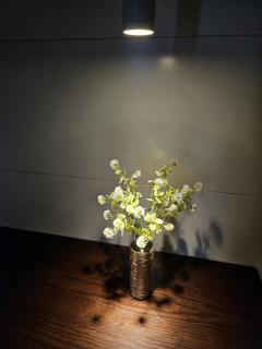 AnE House 1- SHP Plaza 12 Lach Tray, Hai Phong - 8