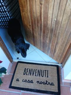 La Casa di Berenice a Porto Azzurro - 9