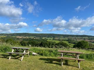 Partridge Nest Cottage - 3