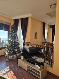 Vista Blue Villa - 8