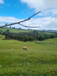Encantadora casa para 6, Isla Lemuy Muelle de los brujos - 0