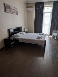 New Grand Tbilisi Apartment - 5