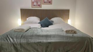 Lovely 3BR Apartment with Balcony near Rennweg station - 1