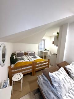 Vila Aurora , 50m od Gondole Brzece - 1