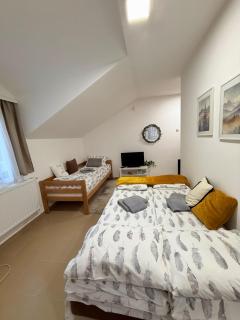 Vila Aurora , 50m od Gondole Brzece - 9