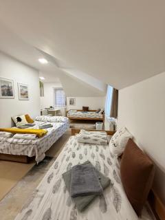 Vila Aurora , 50m od Gondole Brzece - 6