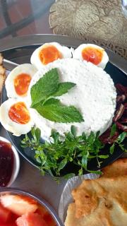 Ecotropicfarmhouse - Cerro Azul - 7