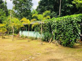 Lotus cool hotel and restaurant - 6