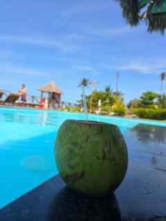 Eco Paradise frente al mar Ap 231 - Caucaia - 2