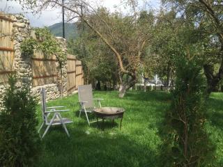 Villa Jrhogher Dilijan - Dilijan - 1