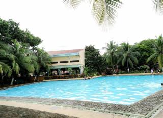 Clark Stays Yellow - 5