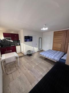 STUDIO 50m de gare de st-louis - 3