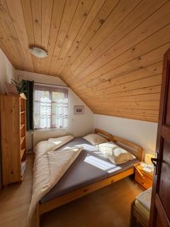 Apartmány Srub Jenišov - 7